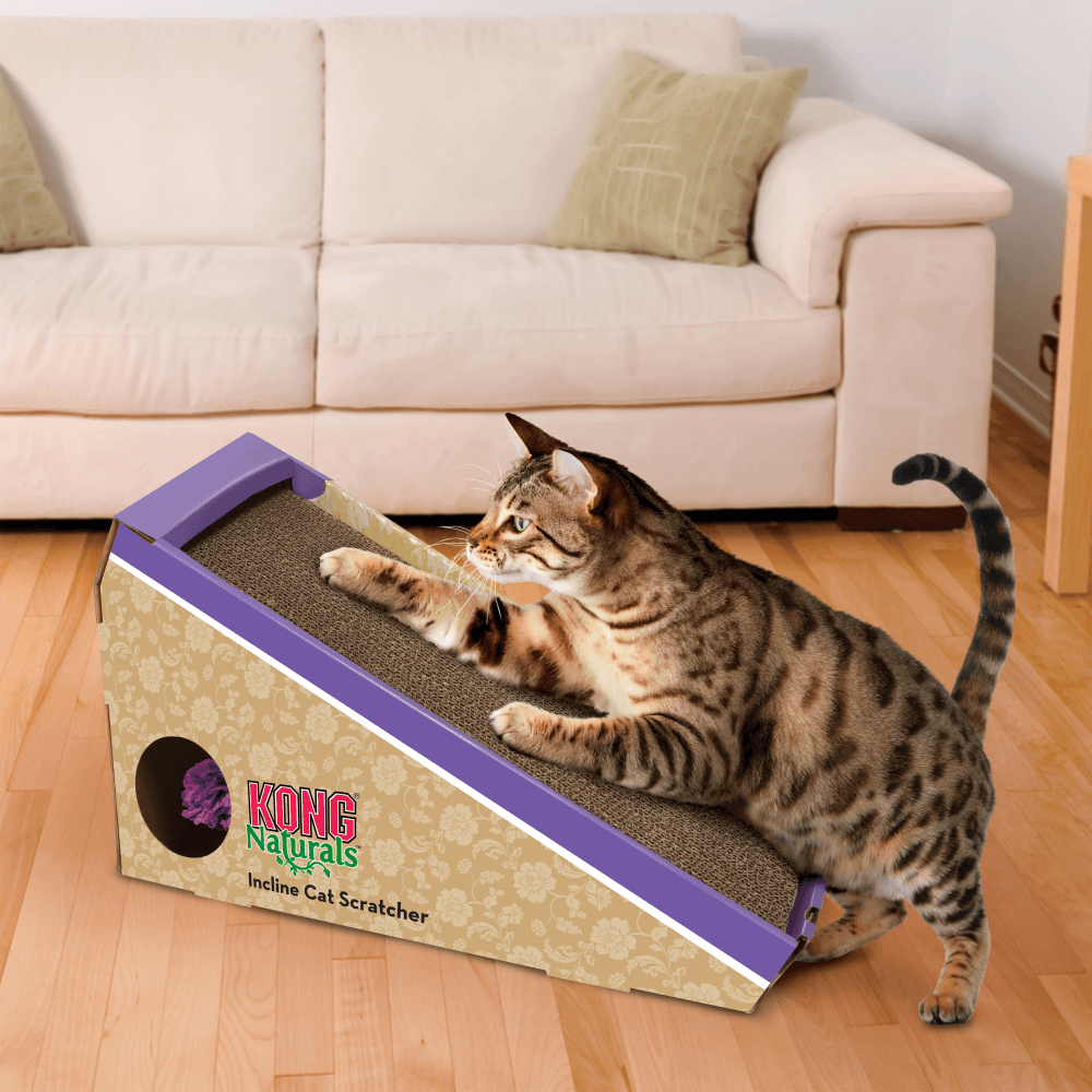 Kong Naturals Incline Scratcher Holiday Pet Gift and cat