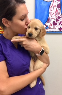 Dr. Angela seeing a new puppy for his first set of vaccines.