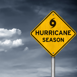 Hurricane Boarding Forms need to be filled out each year if your pet boards during hurricane season.