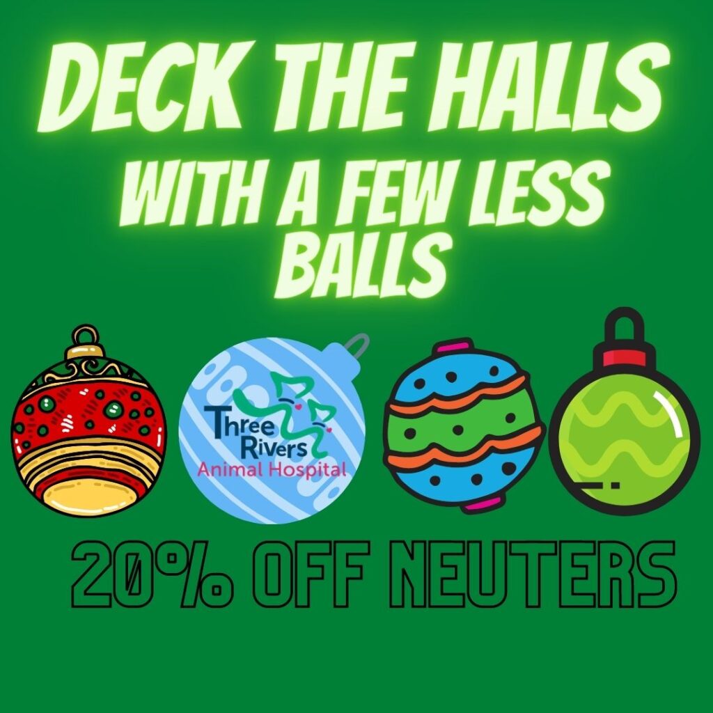 december deck the halls with a few less balls specials