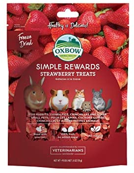 Oxbow strawberry treats pet gift for small animals